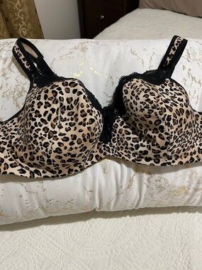Cacique Leopard Print Underwire Bra with Black Trim